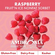 Fruit N Ice Raspberry Sorbet