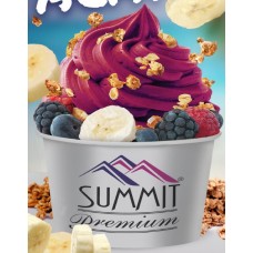 Summit Premium Superfruit Acai 4/1 Gallon