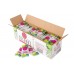 Pitaya Plus Frozen Organic Coconut Smoothie Packs 1-13.2 Pound 