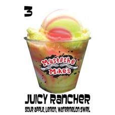 M Mikes Juicy Rancher Italian Ice Pints 6/Ct