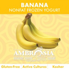 Ambrosia Nf Banana Yogurt 6/64 Oz