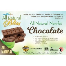 Rainbow's End Low Fat Chocolate All Natural Bliss Yogurt 6-64 ounce